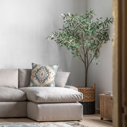 Green Olive Tree
