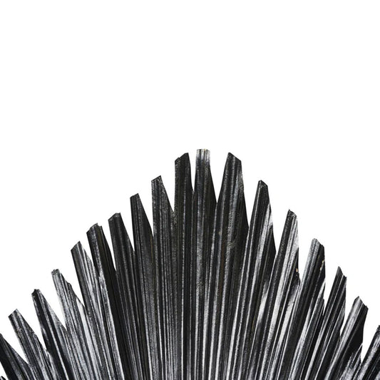 Black Palm Leaf