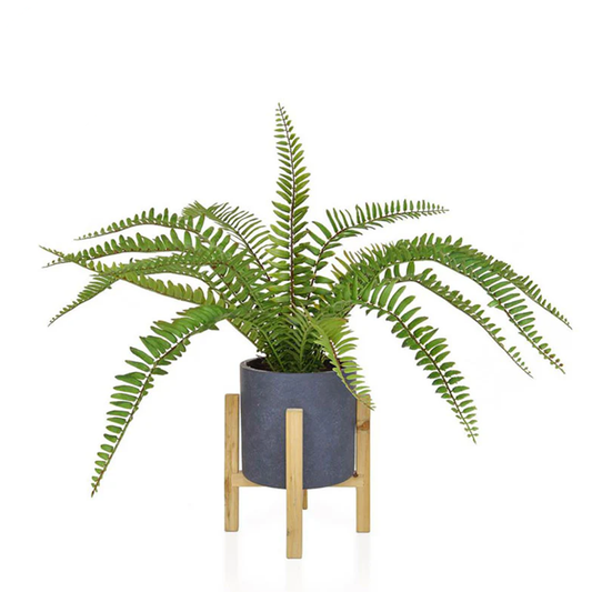 Faux Boston Fern in Pot