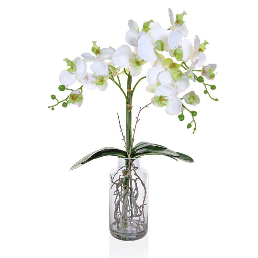 Phal White Faux Orchid in Glass Vase Phal White Faux Orchid in Glass Vase