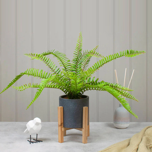 Faux Boston Fern in Pot