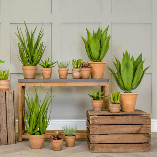 Faux Aloe in Clay Pot