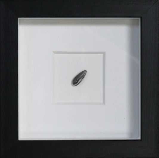'Sunflower Seed' | Ai Wei Wei