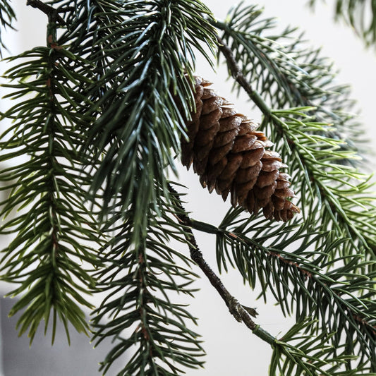 Green Pine with Pinecones Branch