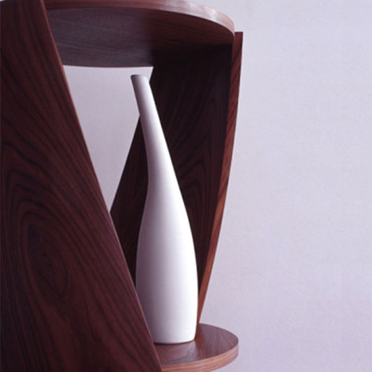 Tom Schneider DNA Whole Twist