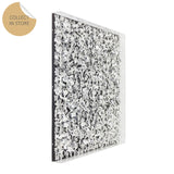 Deco Frame Silver Flower Wall Picture