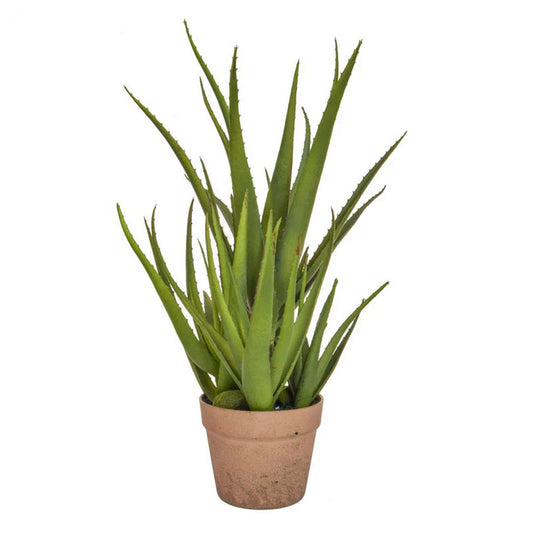 Faux Aloe in Clay Pot