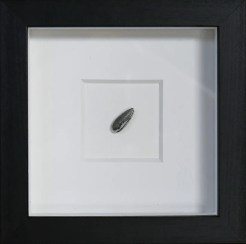 'Sunflower Seed' | Ai Wei Wei
