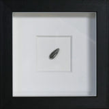 'Sunflower Seed' | Ai Wei Wei