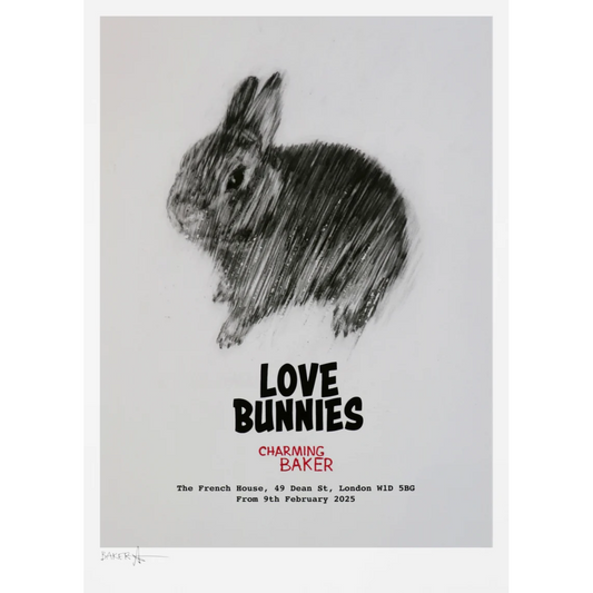 'Love Bunnies - Exhibition Print' | Charming Baker
