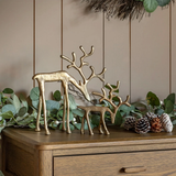 Gallery Direct Woodland Set of 2 Gold Metal Reindeer Ornaments