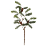 Green Pine with Pinecones Branch