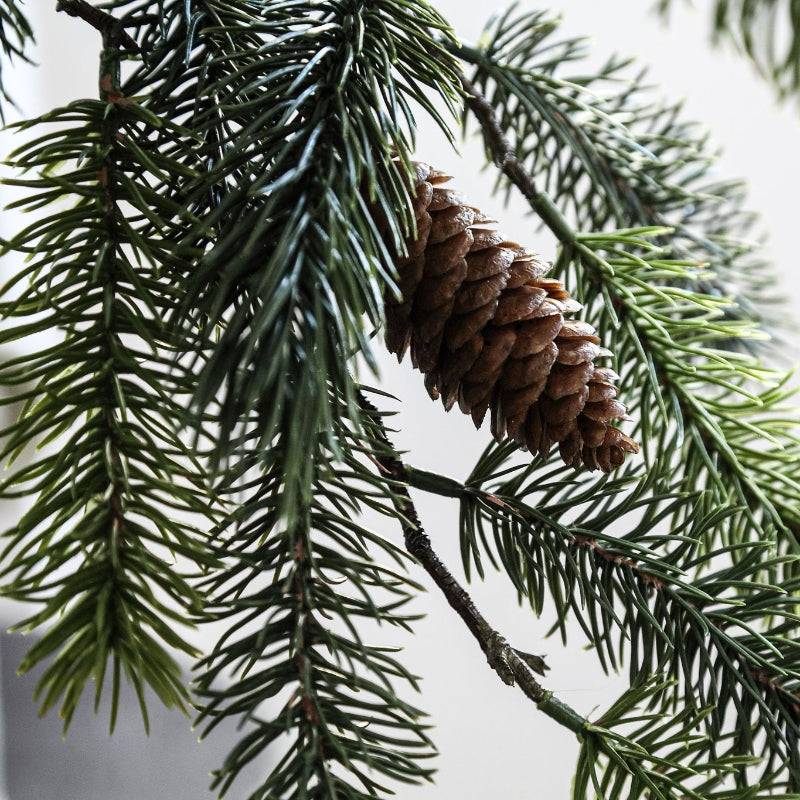 Green Pine with Pinecones Branch