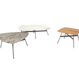 Venjakob Square Coffee Table