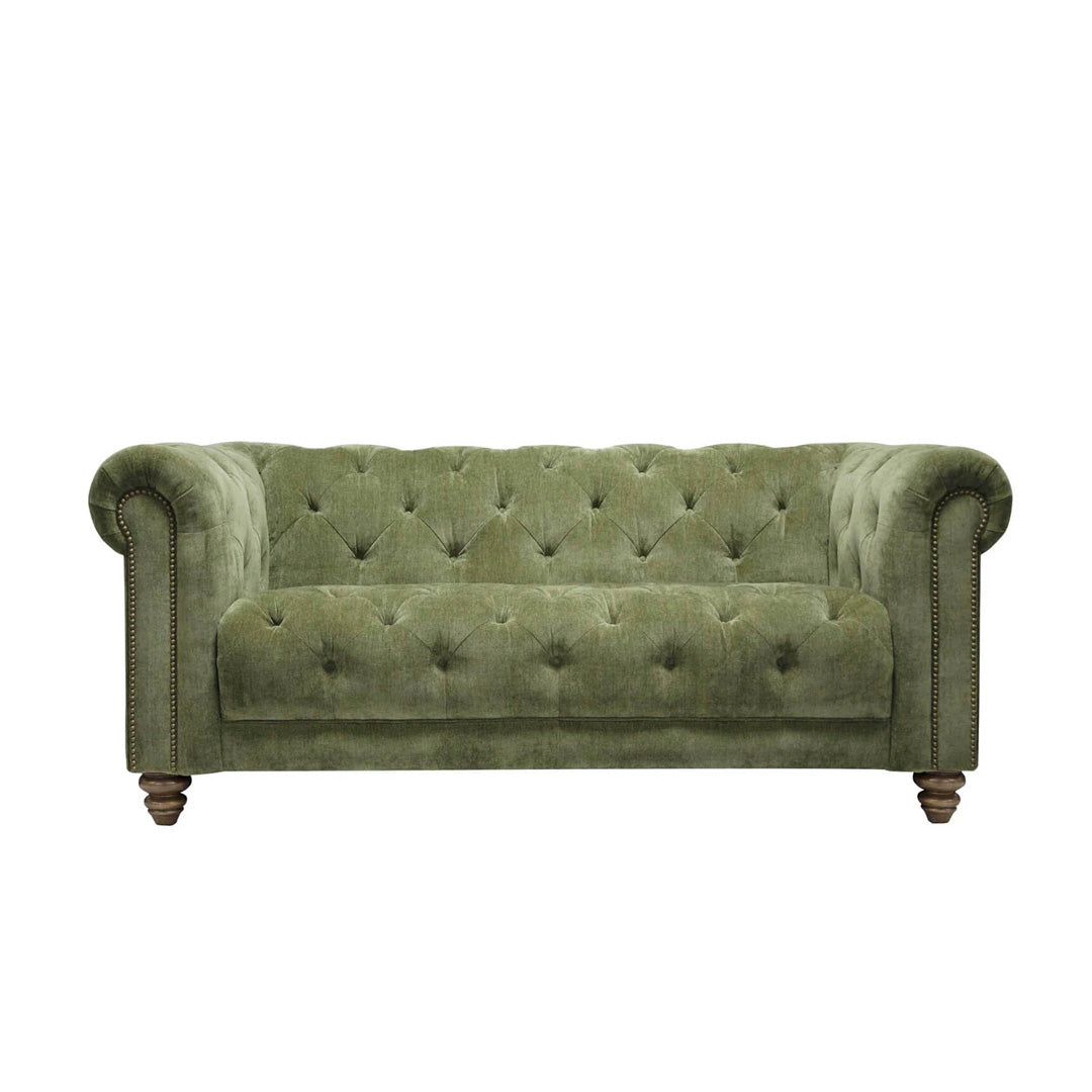 An image of an elegant green velet sofa with low 