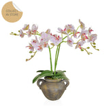 Phal Pink Faux Orchid in Urn