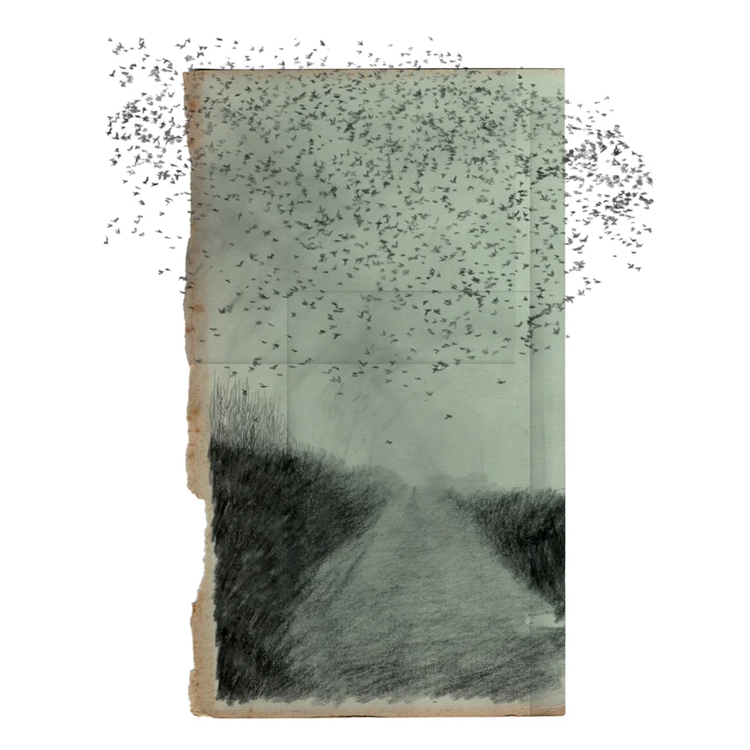 'That Evening Of Dark Weather' | Stanley Donwood | Limited-Edition