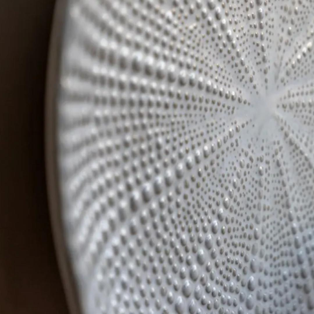 Gallery Direct Brea Beaded Plate