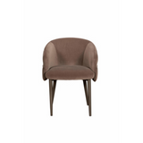 Dante Pair of Dining Chairs