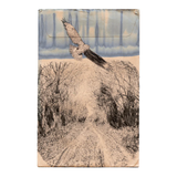 'Wessex Heights' | Stanley Donwood | Limited-Edition