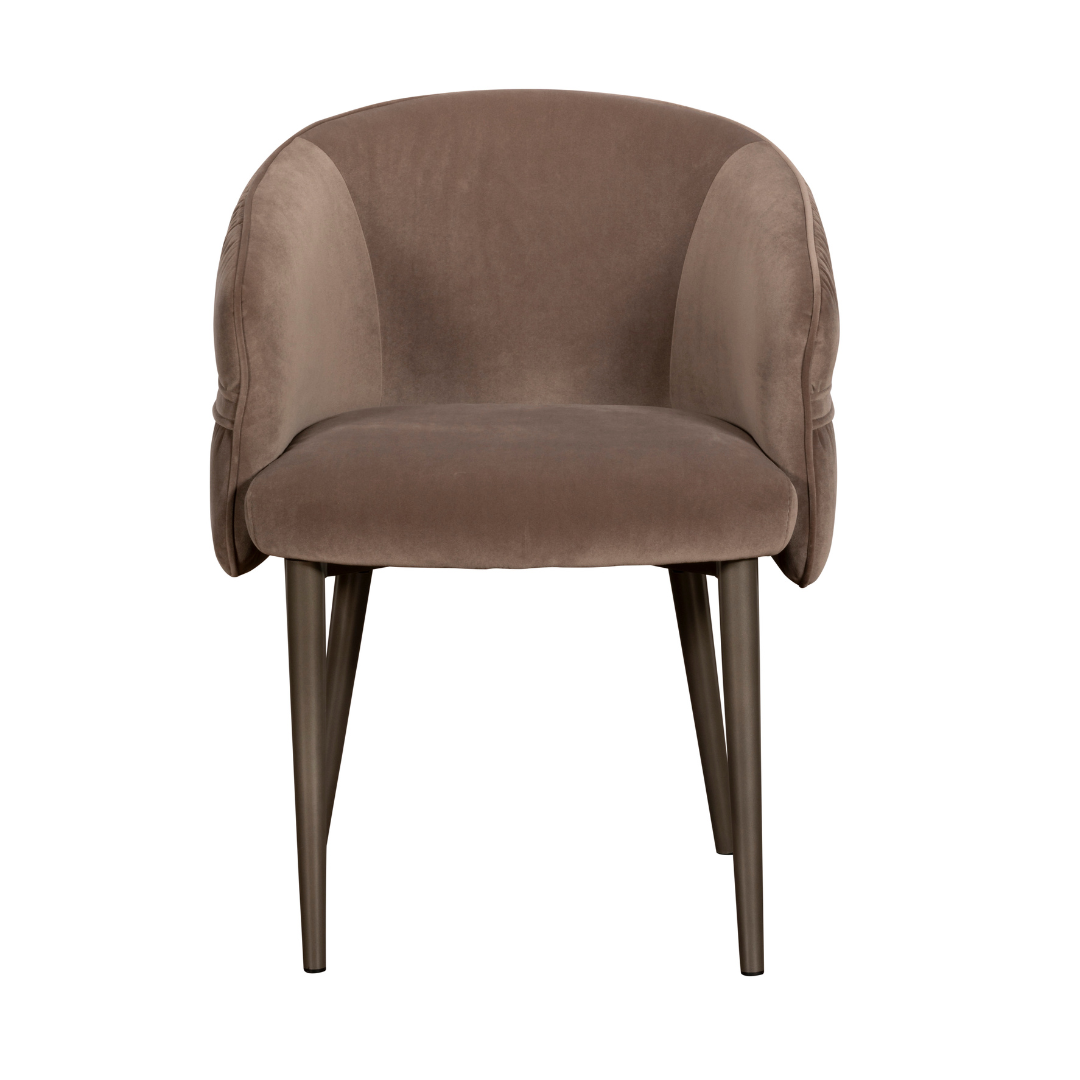 Dante Pair of Dining Chairs